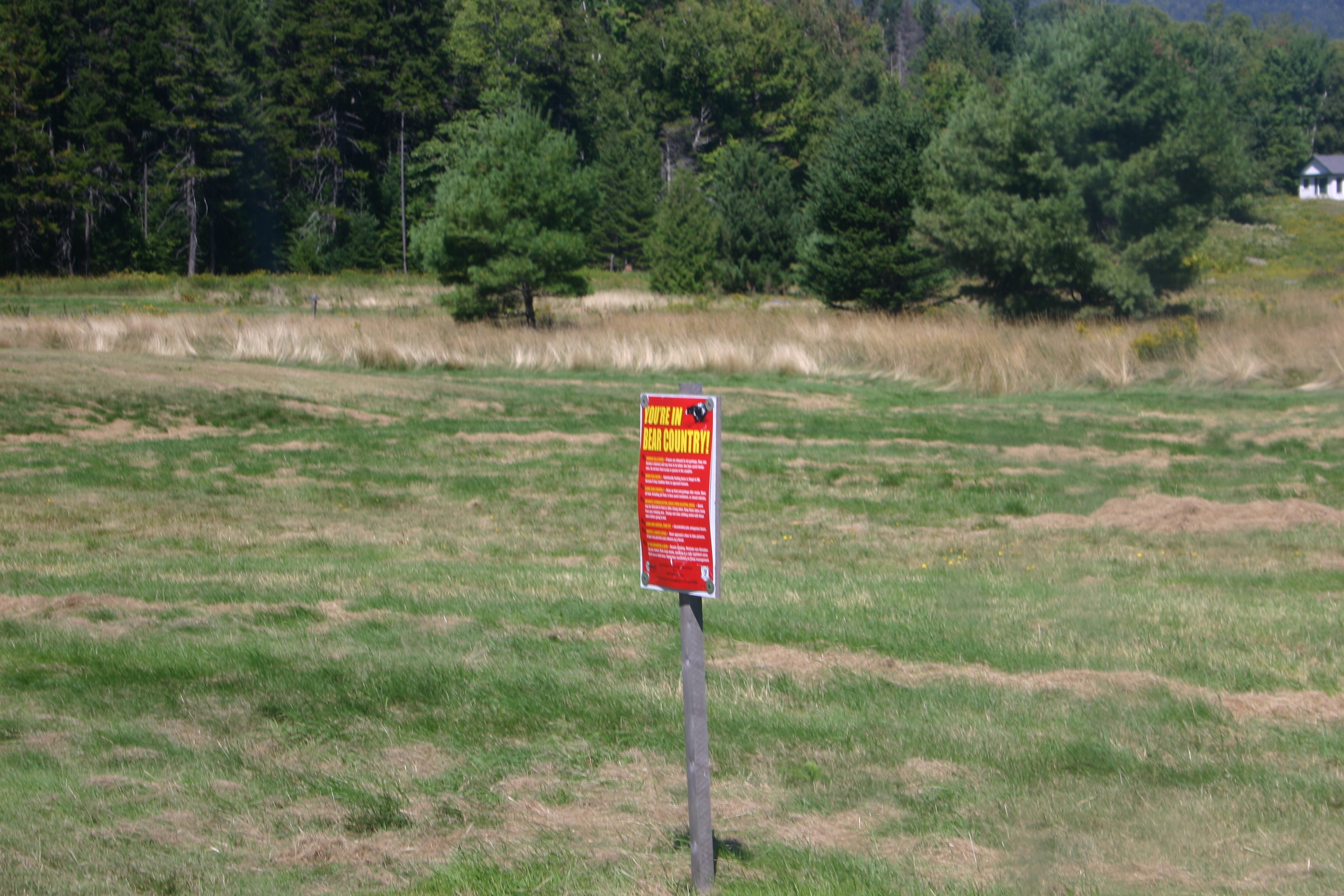 picture 90.